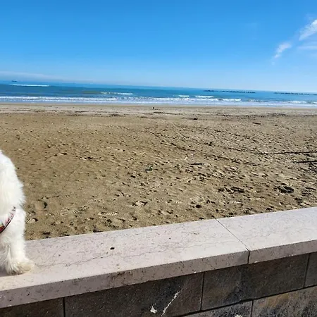 아파트 Fronte Mare Con Posto Auto *